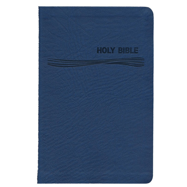 CEB Deep Blue Kids Bible