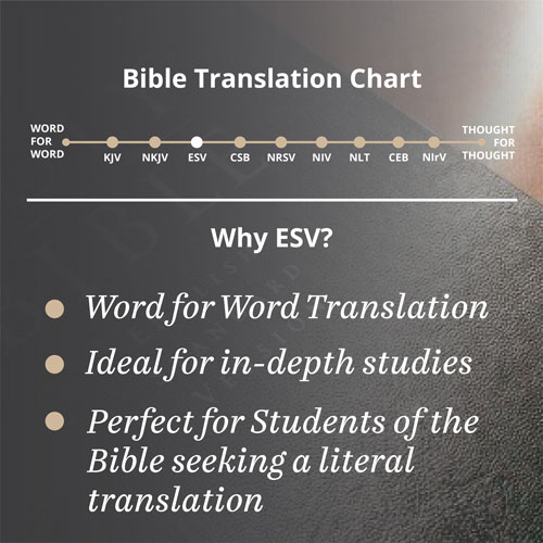 Bible Translation Chart