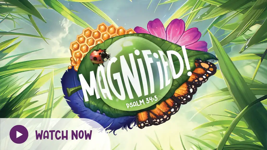 Watch Magnified Video