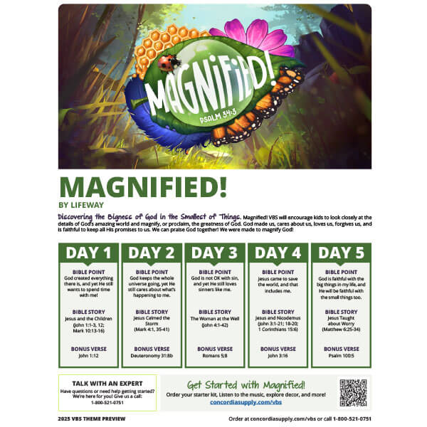 Magnified VBS Theme Preview