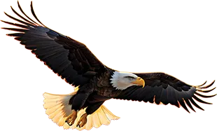 True North Eagle